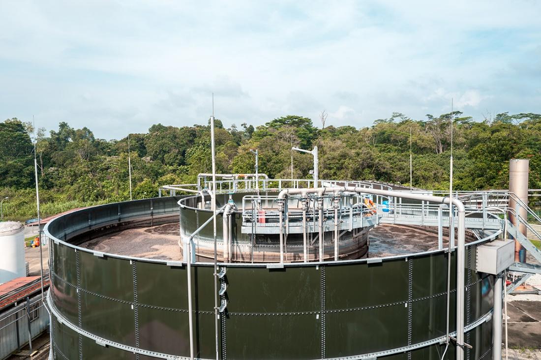 维尔利成功签约新加坡生物能源项目